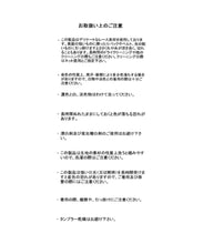 画像をギャラリービューアに読み込む, 総レースブラウス/MM528123